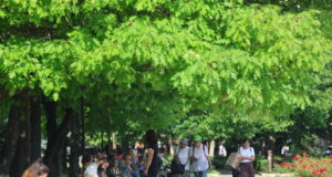 Време, пролет, слънчево