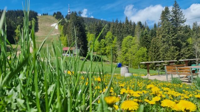 Лифтът до вр. Снежанка в Пампорово ще работи в периода 24 - 26 май, летният сезон в курорта ще бъде открит на 20 юни