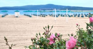 Българските плажове и пристанища със "Син флаг" за Лято 2025
                                                                                                Плаж Дюни е напълно подготвен за посрещането на първите туристи