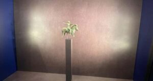 АТА: Скулптурата „Конникът от Бабуня“ на 2600 години, открита край древна Аполония в Албания, е изложена във Виена