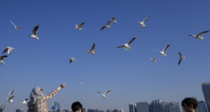 В ОАЕ бе регистрирана рекордна за май температура от 50,4 градуса по Целзий