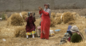 Египет търси разширяване на вноса на пшеница от България, заяви египетският министър на снабдяването