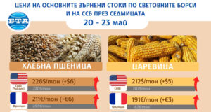 Леко поскъпване на основните зърнени култури по световните борси отчитат експертите на Софийската стокова борса