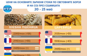 Леко поскъпване на основните зърнени култури по световните борси отчитат експертите на Софийската стокова борса