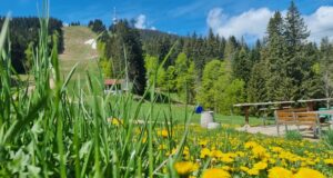 Лифтът до вр. Снежанка в Пампорово ще работи в периода 24 - 26 май, летният сезон в курорта ще бъде открит на 20 юни