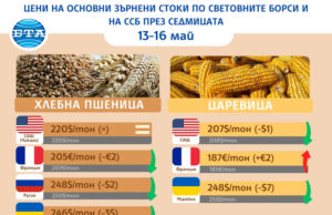Минимални промени в цените на основните зърнени култури по световните борси отчитат експертите на Софийската стокова борса