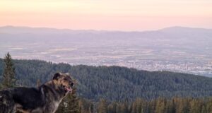 Подходящи са условията за туризъм в по-ниските части на планините, съобщиха от Планинската спасителна служба на БЧК