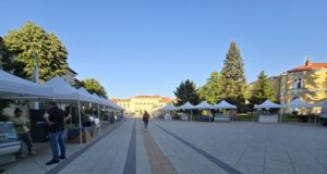 Първото издание на фестивал на българското сирене и млечните продукти започва във Враца