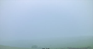 "Тихи наблюдатели" на режисьорката Елица Петкова спечели голямата наградата на фестивал за документални филми в Мюнхен