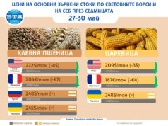 Цените на пшеницата и царевицата на световните борси продължават да спадат заради очаквания за рекордна реколта, отчита ССБ