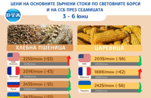 Лек спад на основните зърнени култури по световните борси отчитат експертите на Софийската стокова борса