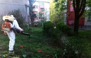 В следващите дни ще приключи втората обработка на междублоковите пространства и градинките в София срещу бълхи и комари, написа Васил Терзиев