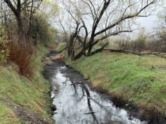 Водите на река Новачица са мътни заради временно отбит канализационен колектор на „Софийска вода“ АД, има издадени разрешения