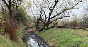 Водите на река Новачица са мътни заради временно отбит канализационен колектор на „Софийска вода“ АД, има издадени разрешения