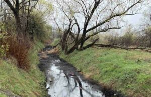 Водите на река Новачица са мътни заради временно отбит канализационен колектор на „Софийска вода“ АД, има издадени разрешения