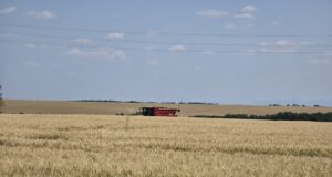 Жътвена кампания 2025 ще бъде официално открита във видинското село Цар Петрово