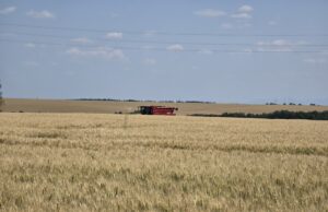Жътвена кампания 2025 ще бъде официално открита във видинското село Цар Петрово