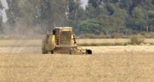 КНА: Кипърското правителство обявява инвестиционна мярка от 67,5 милиона евро по Стратегическия план за Общата селскостопанска политика