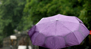 Няма данни за пострадали при бурите в Западна България