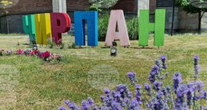 Тридневният Международен фестивал на лавандулата 2025 в Чирпан представя природата и българската култура под надслов "Сетивата празнуват"