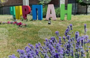 Тридневният Международен фестивал на лавандулата 2025 в Чирпан представя природата и българската култура под надслов "Сетивата празнуват"