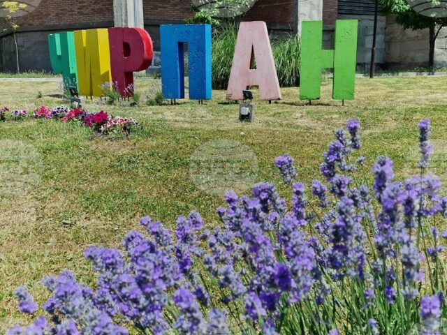 Тридневният Международен фестивал на лавандулата 2025 в Чирпан представя природата и българската култура под надслов "Сетивата празнуват"