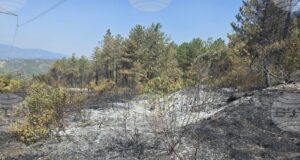 Петима души са изведени от вилна зона над село Илинденци, каза за БТА кметът на Струмяни Емил Илиев