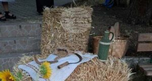 Възстановка на обичая "Брада" показаха в село Питово за закриването на жътвата