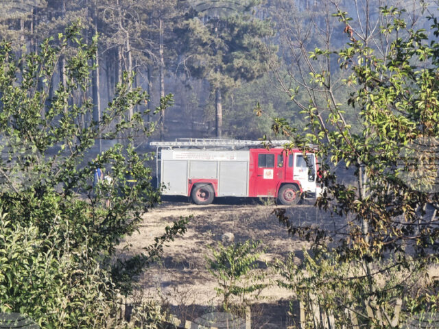 Дежурен екип ще остане през цялата нощ в района на пожара край Айтос