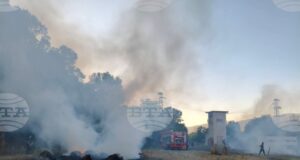 Житен блок горя в землището на карловското село Каравелово