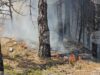 Започна евакуация на жителите на санданското село Плоски