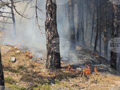 Започна евакуация на жителите на санданското село Плоски