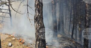 Започна евакуация на жителите на санданското село Плоски