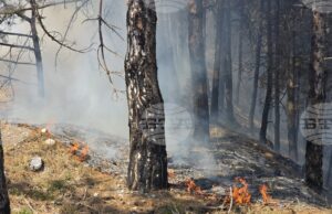 Започна евакуация на жителите на санданското село Плоски