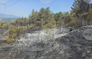 Петима души са изведени от вилна зона над село Илинденци, каза за БТА кметът на Струмяни Емил Илиев