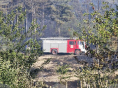 Пожар на около 500 декара площ гори край село Звезделина, съобщиха от ОД на МВР в Кърджали