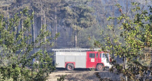 Пожар на около 500 декара площ гори край село Звезделина, съобщиха от ОД на МВР в Кърджали