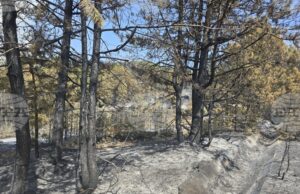 Пожарът в района на Илинденци е най-сложният в страната, каза главен комисар Александър Джартов