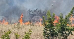 Превантивни мерки срещу пожари са предприети на територията на община Николаево