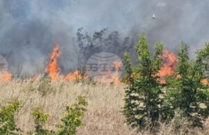 Превантивни мерки срещу пожари са предприети на територията на община Николаево