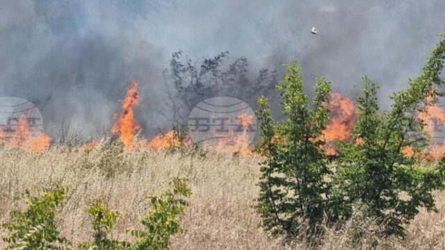 Превантивни мерки срещу пожари са предприети на територията на община Николаево