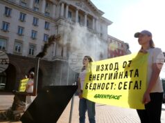 С печка за дърва и соларен панел от "Грийнпийс България" призоваха държавата да реши проблема с енергийната бедност