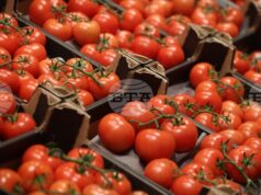 САЩ наложиха 17% мито върху мексиканските домати