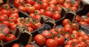 САЩ наложиха 17% мито върху мексиканските домати