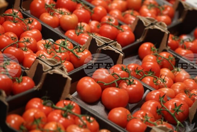 САЩ наложиха 17% мито върху мексиканските домати