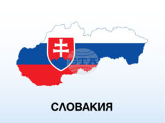 ТАСР: Словашки пожарникари помагат в борбата с голям горски пожар в България