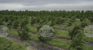 Финансовият надзорен орган на Г-20 представи план за климата, но настоя за пауза на фона на противоречията между отделните страни