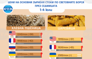 Цените на основните зърнени стоки тръгват нагоре по световните борси в първата седмица на юли, сочат данните на ССБ