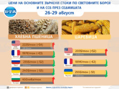 Минимални са промените в цените на основните зърнени стоки по световните борси в края на август, сочат данни на ССБ