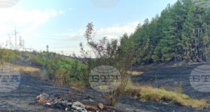 ОБНОВЕНА Пожарът край гълъбовското село Обручище е локализиран, частичното бедствено положение остава в рамките на 48 часа